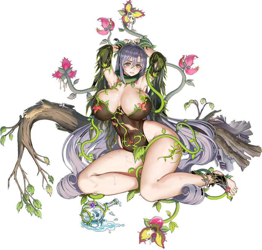 1girl @_@ absurdly_long_hair armpits arms_up bangs barefoot black_leotard blush bodypaint branch breast_squeeze breasts breasts_apart broken_bottle cameltoe carnivorous_plant circe_(last_origin) clenched_teeth collar collarbone covered_navel curvy defeat detached_collar feet flower flower_bikini full_body game_cg green_collar green_eyes green_footwear green_nails grey_hair hair_between_eyes highleg highleg_leotard highres huge_breasts injury last_origin leaf leotard lips long_hair looking_at_viewer machinery nail_polish nude official_alternate_costume official_art open_mouth plant potion purple_flower red_flower restrained sitting skindentation solo spill spilling suggestive_fluid sweat tachi-e taesi teeth thick_thighs thighs toeless_footwear torn_clothes torn_leotard transparent_background very_long_hair vines wide_hips yokozuwari