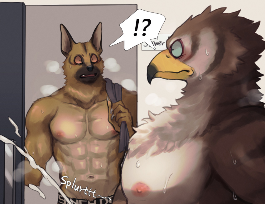 2020 abs accipitrid accipitriform anthro avian beak biceps bird bodily_fluids brown_body canid canine canis caught_masturbating chest_tuft clothed clothing confusion domestic_dog duo ejaculating_cum ejaculation english_text exclamation_point german_shepherd herding_dog hi_res inside k0bit0wani male male/male mammal masturbation muscular muscular_anthro muscular_male navel neck_tuft nipples open_mouth pastoral_dog pecs pink_eyes question_mark shocked shower_room sign standing steam surprise sweat text towel towel_on_shoulder tuft underwear underwear_only white_eyes yellow_beak