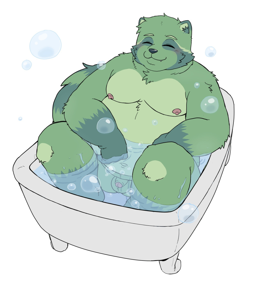 anthro balls bath bathtub bent_arm bent_legs bubble claws eyes_closed foreskin fred_(fredrick_brennan) fur genitals glans green_body green_fur haruk000 hi_res humanoid_genitalia humanoid_penis male mammal micropenis mouth_closed navel nipples nude overweight overweight_anthro overweight_male penis procyonid raccoon sitting small_penis solo teeth water