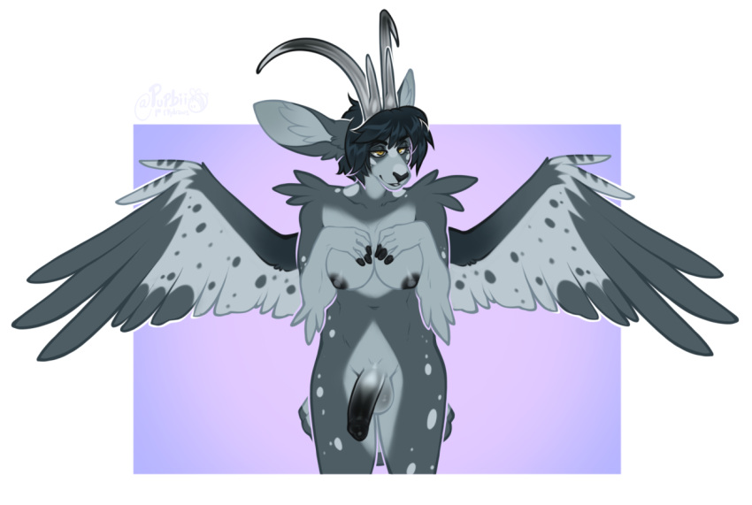 anthro balls black_hair black_penis border feathered_wings feathers front_view fur genitals glistening glistening_eyes grey_balls grey_body grey_breasts grey_feathers grey_fur grey_horn grey_wings gynomorph hair half-erect horn humanoid_genitalia humanoid_penis intersex narrowed_eyes nude penis portrait pupbii short_hair signature simple_background solo standing three-quarter_portrait white_border wings yellow_eyes