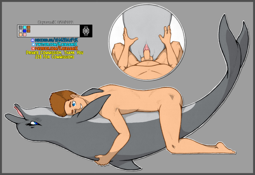 16:11 2022 absurd_res animal_genitalia animal_pussy balls bestiality cetacean cetacean_pussy colored delphinoid detailed discord_(app) dorsal_fin duo embrace eye_contact eyes_closed female feral feral_penetrated fin from_front_position genitals hand_on_chest hi_res human human_on_feral human_penetrating human_penetrating_female human_penetrating_feral humanoid_genitalia interspecies kayasamix logo looking_at_another looking_pleasured lying male male/female mammal marine missionary_position on_back one_eye_closed patreon penetration pussy raised_tail sea sex simple_background smile spread_pussy spreading tail_fin text tongue tongue_out toony toothed_whale traditional_media_(artwork) twitter url vaginal vaginal_penetration water