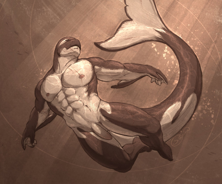 abs anthro balls cetacean chest_scar delphinoid facial_scar genitals hi_res male mammal marine muscular muscular_anthro muscular_male nipples nude oceanic_dolphin orca pecs penis s_anima scar skinny_dipping solo swimming toothed_whale underwater water