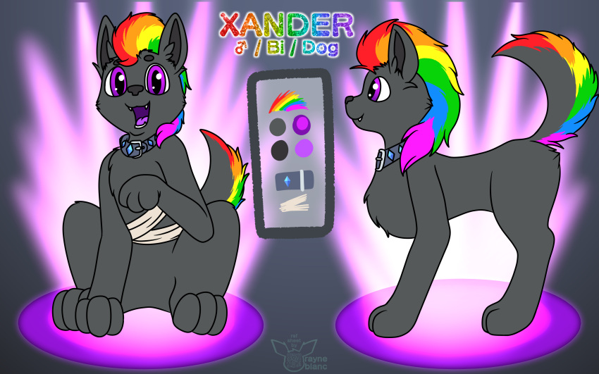 absurd_res albinoraynedeer bandage canid canine canis collar diamond_(disambiguation) domestic_dog hair hi_res male mammal model_sheet mohawk multicolored_hair rainbow_hair xander_domens&eacute;