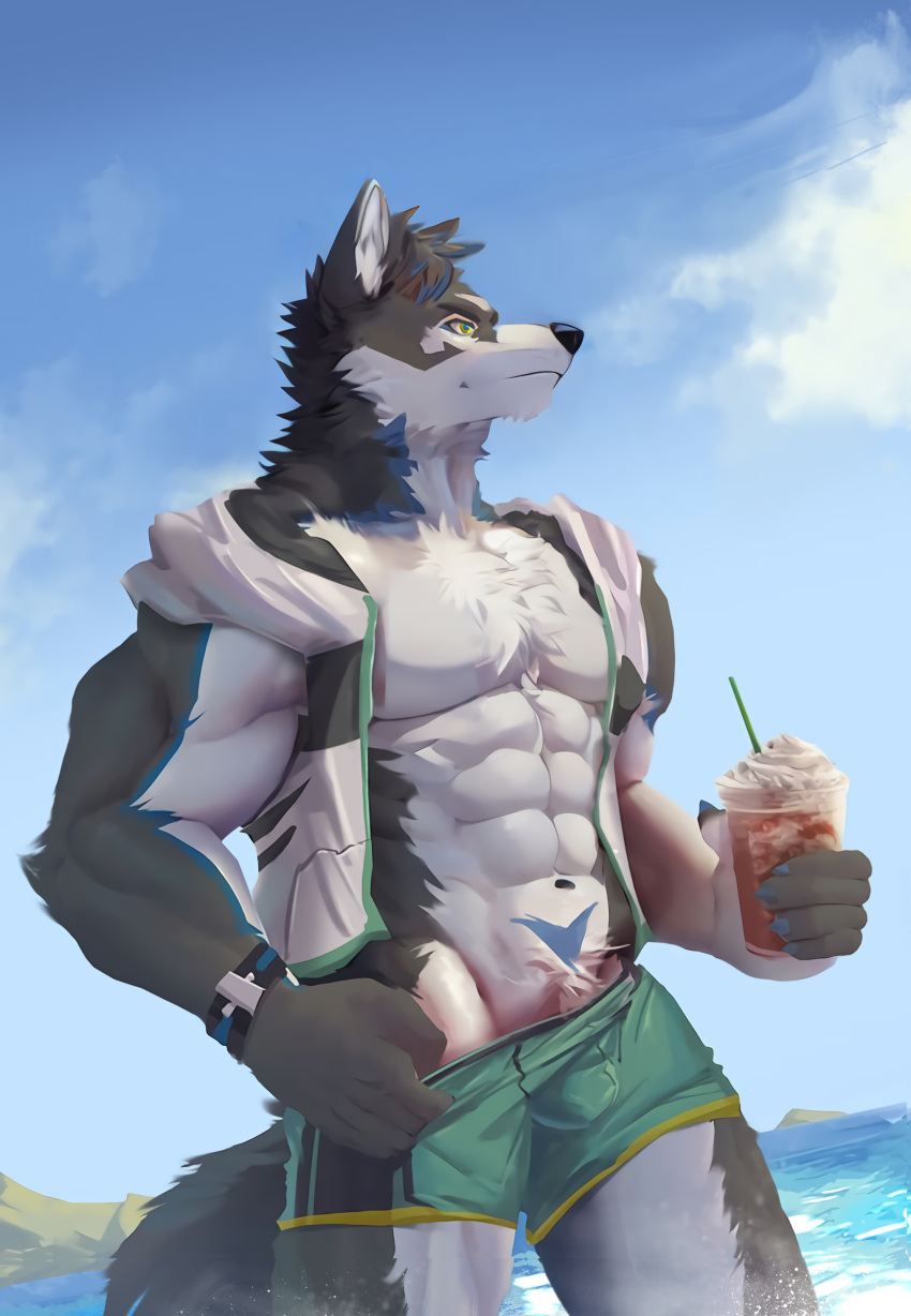 2022 5_fingers abs absurd_res anthro archermagnum bare_chest beverage bottomwear bulge canid canine canis clothing cloud container cup dairy_products discordnight_(artist) domestic_dog fingers food hi_res holding_object hood_(clothing) male mammal muscular muscular_male sky smoothie straw summer swimwear thunderrangers topwear vest whipped_cream wolf wristband