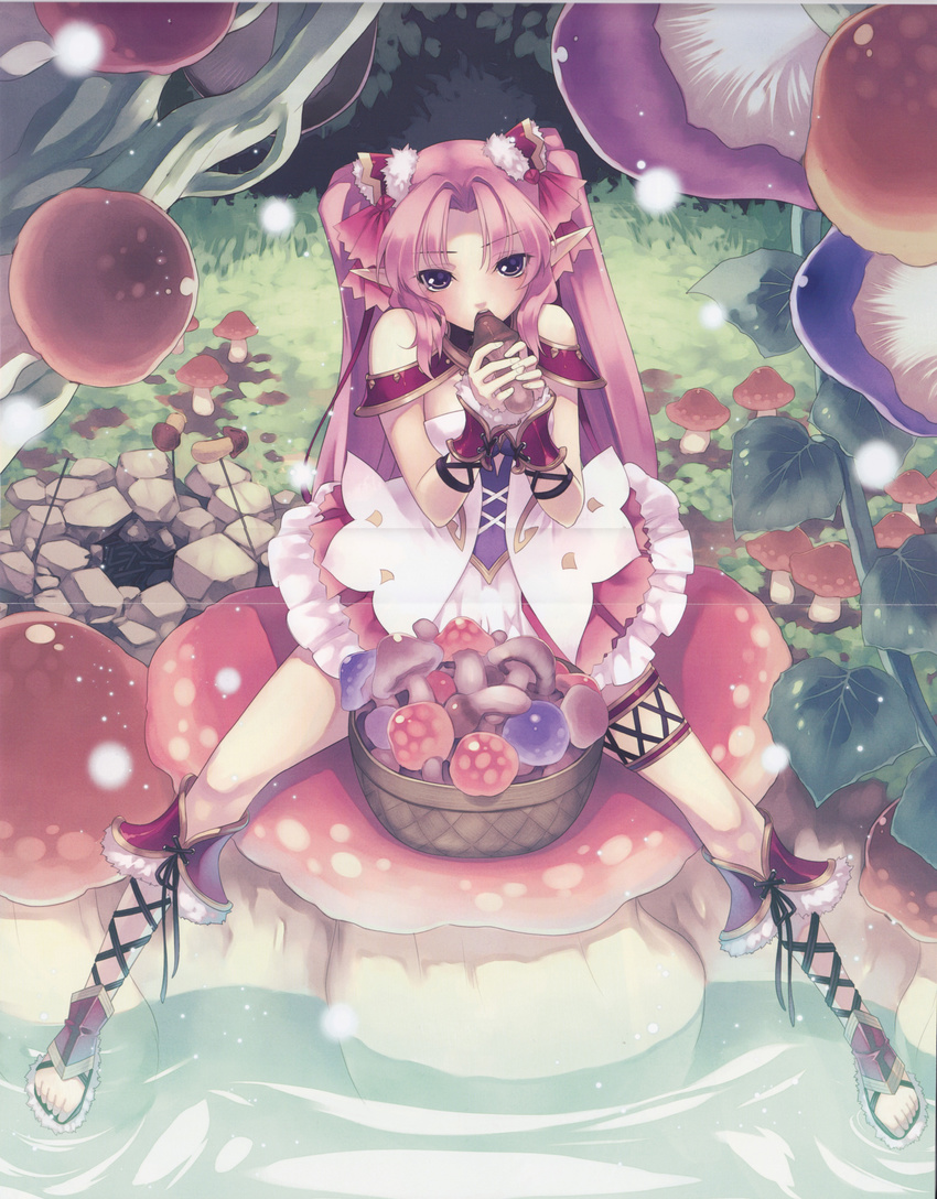 absurdres agarest_senki_(series) agarest_senki_zero alice_(agarest_senki_zero) basket boots corset dress eating elf fantasy forest highres hirano_katsuyuki mushroom nature official_art pink_hair pointy_ears purple_eyes sexually_suggestive sitting skirt solo twintails water