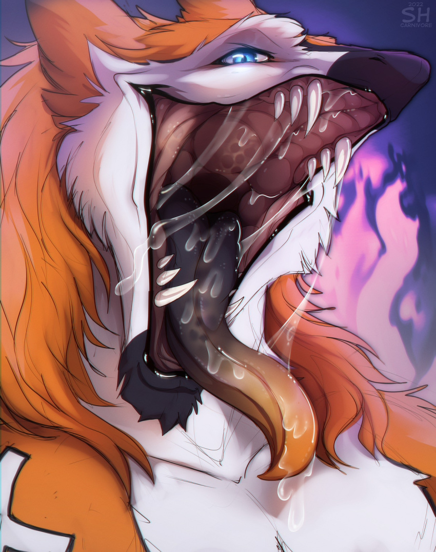 2022 anthro artist_name black_tongue blue_eyes bodily_fluids bust_portrait cheek_tuft chin_tuft dated facial_tuft fangs fur hi_res looking_at_viewer male mouth_shot nude open_mouth orange_body orange_fur orange_tongue portrait pupils saliva saliva_on_tongue saliva_string santanahoffman sergal sharp_teeth simple_background slit_pupils solo teeth tongue tuft white_body white_fur