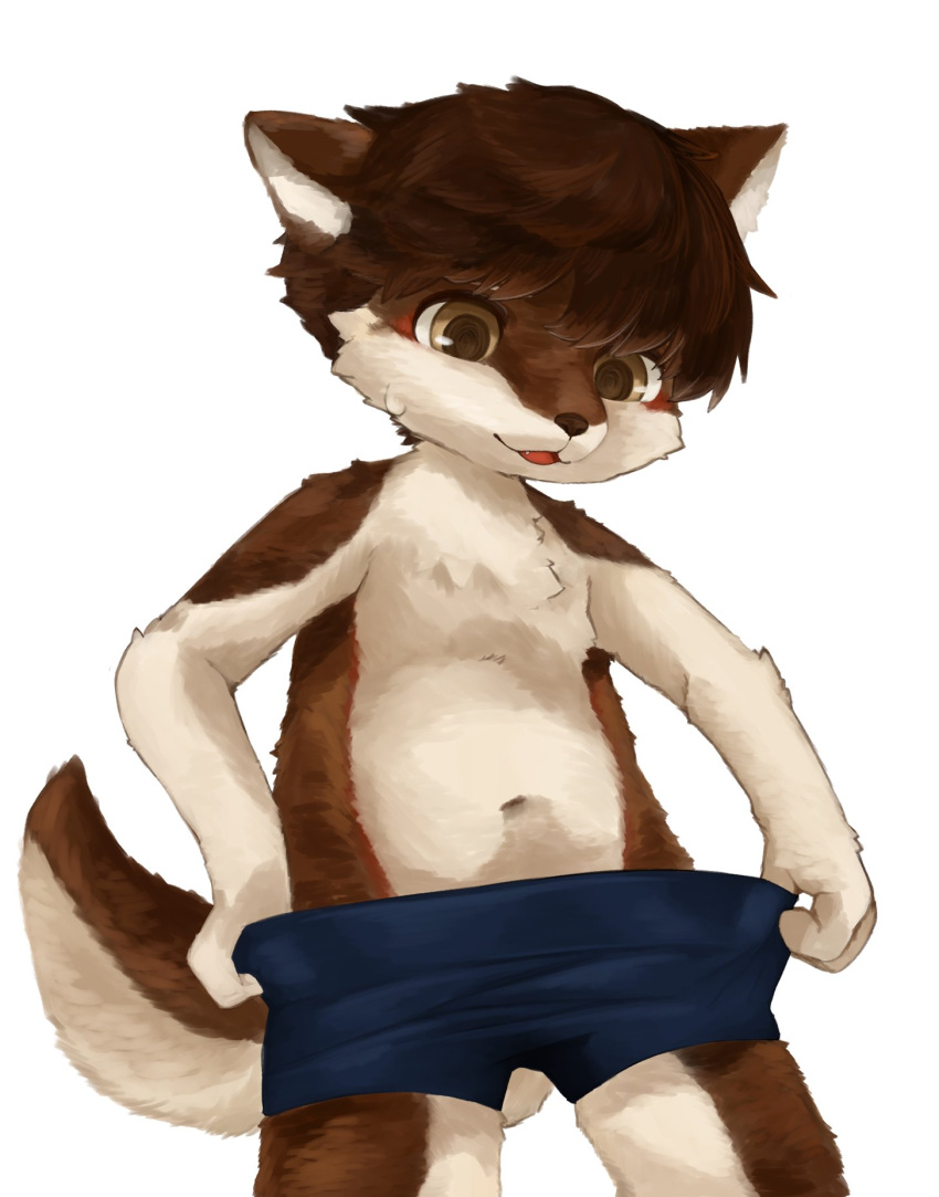 2022 anthro black_nose blue_bottomwear blue_clothing blue_shorts blush bodily_fluids bottomwear brown_body brown_ears brown_eyes brown_fur brown_hair brown_tail canid canine canis clothing countershading digital_media_(artwork) domestic_dog eye_glint fur hair hands_on_hips hi_res inner_ear_fluff kemono kintubaovo looking_at_own_genitalia looking_down male mammal navel shorts shorts_only simple_background solo standing sweat sweatdrop triangle_nose tuft two_tone_tail white_background white_body white_countershading white_fur white_inner_ear white_inner_ear_fluff white_tail