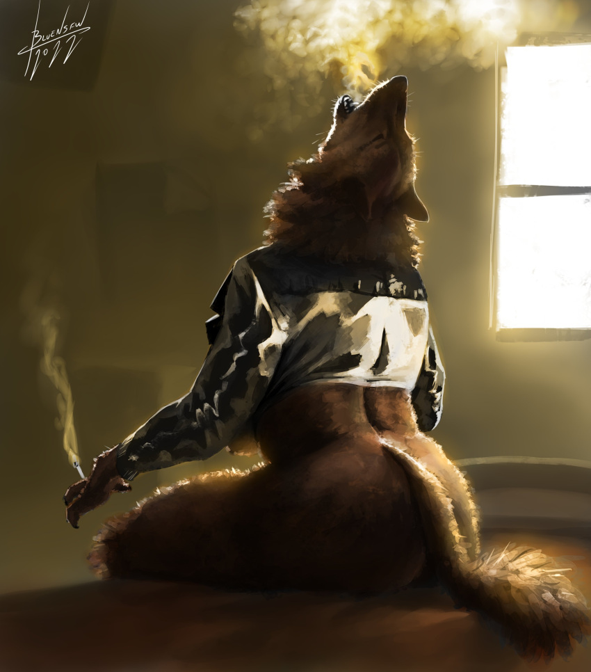 2022 absurd_res anthro artist_name bed black_clothing black_jacket black_topwear blulesnsfw bottomless breasts brown_body brown_fur butt canid canine canis cigarette claws clothed clothing digital_media_(artwork) female fingers fur furniture hi_res holding_cigarette holding_object inside jacket mammal on_bed open_mouth shaded shadow signature sitting sitting_on_bed smoke smoke_from_mouth smoking solo topwear whiskers window wolf