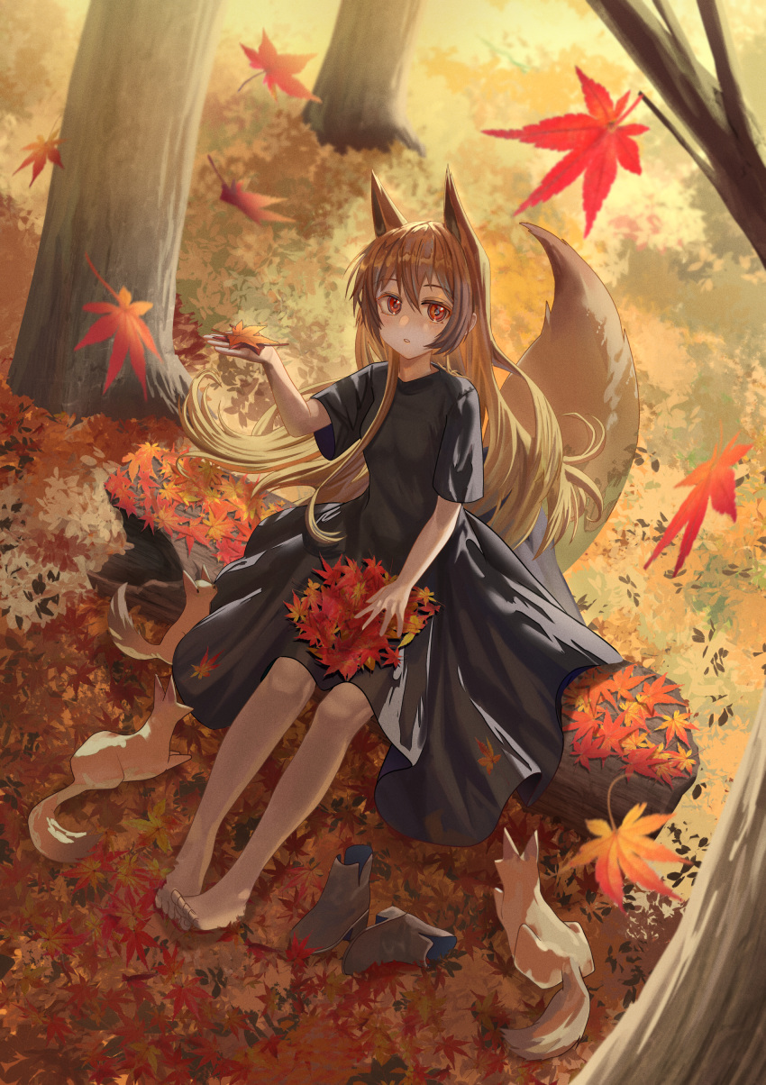 1girl absurdres animal animal_ears autumn autumn_leaves bangs barefoot black_dress brown_hair commentary_request day dress fox fox_ears fox_girl fox_tail hair_between_eyes hand_up highres leaf log maple_leaf original outdoors parted_lips red_eyes short_sleeves silvertsuki sitting solo tail