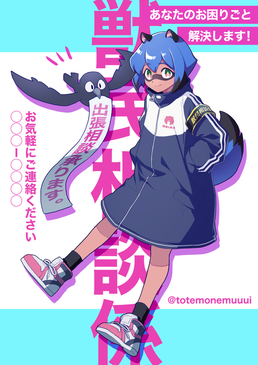 1girl absurdres alternate_costume animal_ears animal_nose bird blue_eyes blue_hair body_fur brand_new_animal brown_fur flying full_body furry furry_female hands_in_pockets highres jacket kagemori_michiru kuro_(bna) looking_at_viewer multicolored_eyes pink_eyes raccoon_ears raccoon_girl raccoon_tail shoes short_hair sneakers tail tanuki totemonemuuui