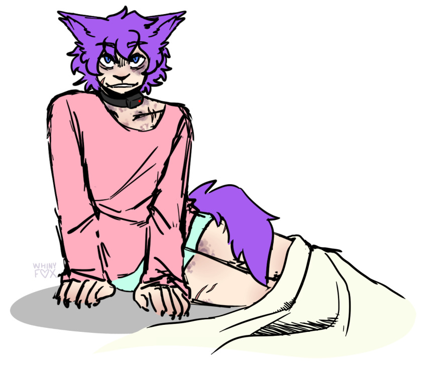 animal_humanoid bedding bedroom_eyes blanket bottomwear bruised canid canid_humanoid canine canine_humanoid captured claws clothing collar collarbone colored_sketch digital_drawing_(artwork) digital_media_(artwork) eye_bags fox_humanoid hi_res hickey humanoid levi_(whinyfox) looking_at_viewer male mammal mammal_humanoid messy_clothing narrowed_eyes scar seductive shock_collar shorts sitting sketch smile solo sweater topwear whinyfox wounded