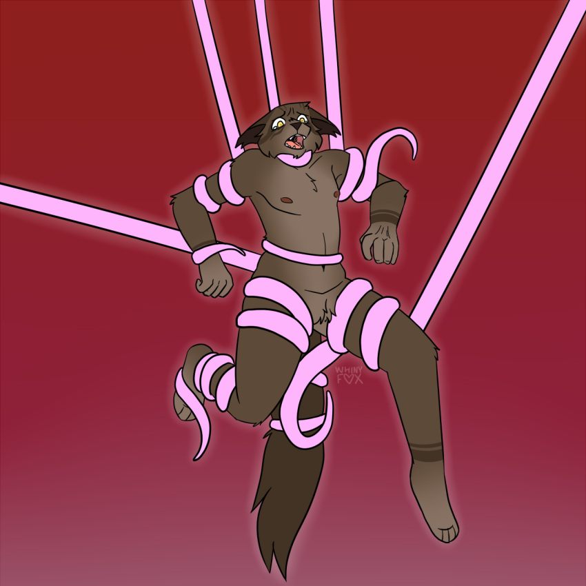 andromorph anthro arms_tied bodily_fluids bound crotch_tuft crying digital_drawing_(artwork) digital_media_(artwork) domestic_cat felid feline felis forced full-length_portrait gradient_background hi_res intersex jasper_(whinyfox) legs_tied mammal pink_tentacles portrait pubes restrained scared simple_background solo suspension tears tentacle_around_arm tentacle_around_leg tentacle_around_neck tentacle_around_tail tentacle_around_waist tentacles tuft whinyfox