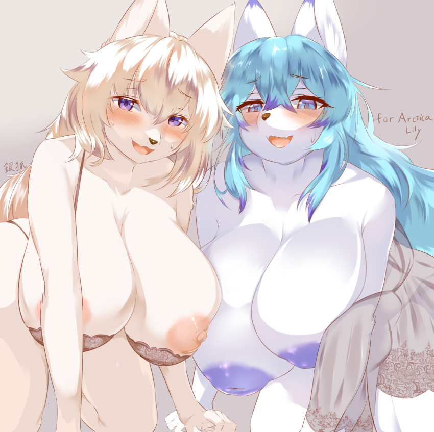 2022 absurd_res anthro areola big_breasts blue_eyes blue_hair blush bodily_fluids bra breasts brown_nose canid canine clothing dress duo eyebrow_through_hair eyebrows eyelashes female ginko0101 hair hi_res huge_breasts inverted_nipples kemono lily_mari long_hair looking_at_viewer mammal nipples open_mouth open_smile simple_background smile sweat sweatdrop tan_background translucent translucent_hair underwear white_hair