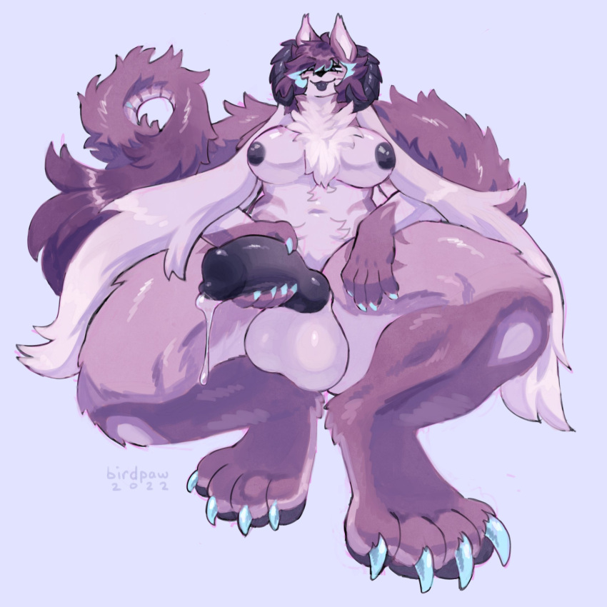 2022 4_toes anthro areola balls big_breasts birdpaw_(artist) black_areola black_eyes black_nipples black_penis black_tongue blue_background blue_claws blue_highlights bodily_fluids breasts canid canine claws digital_media_(artwork) dragon ear_tuft feet front_view fur furred_dragon genital_fluids genitals gynomorph hair hi_res highlights_(coloring) holding_own_penis holding_penis intersex leaking_precum light_body light_fur mammal neck_tuft nipples nude penis precum purple_balls purple_body purple_ears purple_fur purple_hair simple_background solo tail_tuft toes tongue tongue_out trans_(lore) trans_woman_(lore) tuft