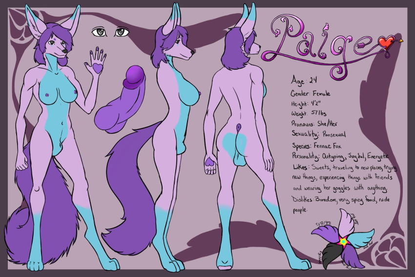 animal_genitalia anthro balls blue_body blue_fur bluhellwulf breasts canid canine english_text fennec fox fur genitals gynomorph hair hi_res intersex mammal model_sheet nipples paige_saba penis pink_body pink_fur purple_hair purple_penis sheath solo text