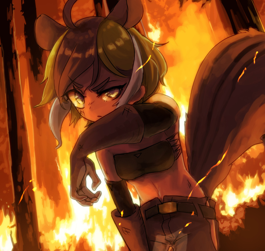 2020 ahoge angehistoire animal_humanoid bandeau belt big_tail bottomwear breasts clothed clothing covering covering_face detailed_background determined dutch_angle embers female fire forest_fire front_view fully_clothed glistening glistening_eyes glistening_hair gloves hair handwear hi_res humanoid looking_at_viewer mammal mammal_humanoid midriff multicolored_hair outside pants particles portrait raised_arm rodent rodent_humanoid sciurid sciurid_humanoid small_breasts solo squirrel_humanoid standing three-quarter_portrait topwear