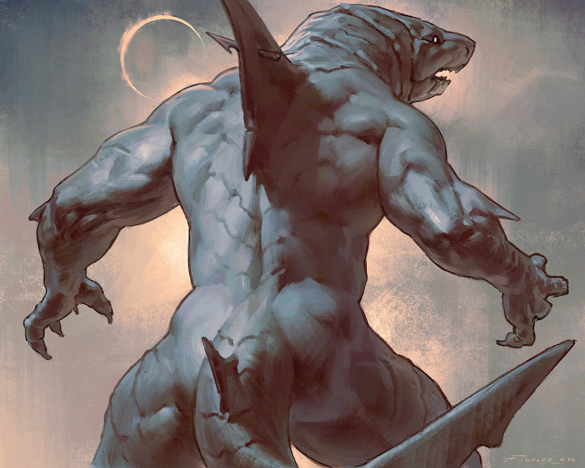 2022 anthro eclipse fangs fin fish grey_body grey_skin hi_res male marine muscular muscular_male rear_view shark solo spread_arms taran_fiddler were werefish wereshark