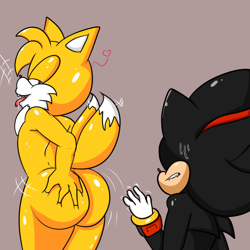 andromorph big_butt butt butt_grab duo female hand_on_butt hi_res horny intersex male male/male miles_prower sega shadow_the_hedgehog sonic_the_hedgehog_(series) soulyagami64 temptation