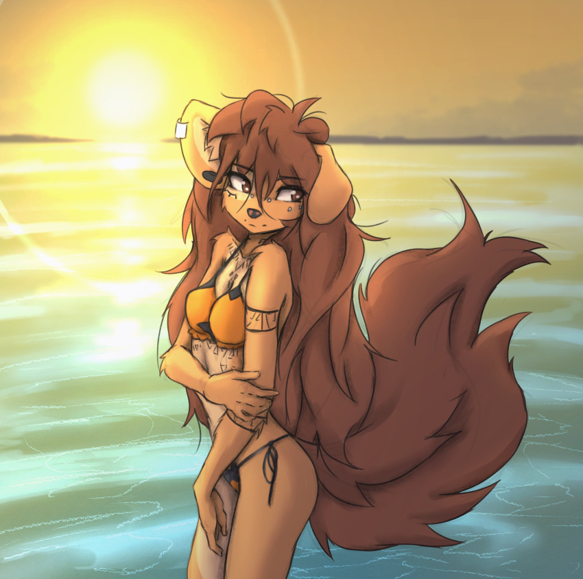 2022 5_fingers absurd_res anthro apogee_(tinygaypirate) arm_tuft big_tail bikini black_nose breasts brown_body brown_eyes brown_fur brown_hair butt canid canine canis cheek_tuft cleavage clothed clothing cowlick day detailed_background domestic_dog ear_piercing elbow_tuft eyebrow_through_hair eyebrows eyelashes facial_markings facial_piercing facial_tuft female fingers floppy_ears fur furgonomics furry-specific_piercing gauged_ear hair hand_on_arm head_markings hi_res inner_ear_fluff long_hair looking_aside mammal markings messy_hair mottled mottled_nose muzzle_piercing nose_piercing outside piercing pink_nose reflection side-tie_bikini slim smile solo spitz standing swimwear tinygaypirate translucent translucent_hair tuft water