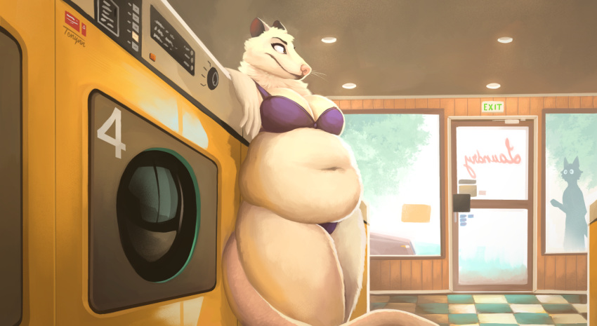 2022 anthro appliance bra breasts brown_eyes car cheek_tuft clothing detailed detailed_background didelphid digital_drawing_(artwork) digital_media_(artwork) facial_tuft female laundromat mammal marsupial mostly_nude navel neck_tuft overweight overweight_anthro overweight_female panties plant public tenynn thick_thighs tree tuft underwear vehicle virginia_opossum washing_machine whiskers wide_hips willow_(toxictoby)