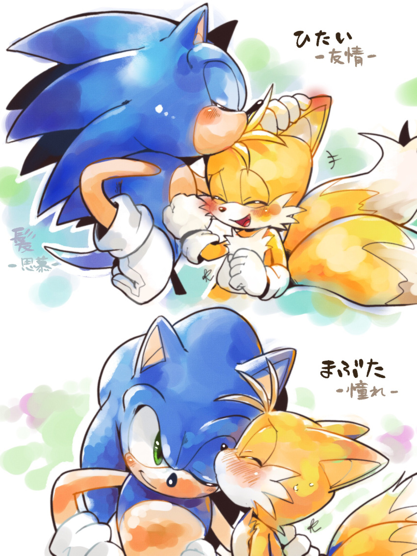 2boys blue_fur clenched_hand commentary_request cub fox_tail furry furry_male gloves green_eyes highres kiss kissing_eye kissing_forehead male_focus misuta710 multiple_boys multiple_tails open_mouth simple_background smile sonic_(series) sonic_the_hedgehog tail tails_(sonic) translation_request two_tails white_gloves yellow_fur