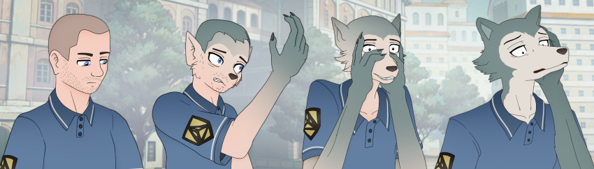anime_style anthro axiomtf beastars blue_eyes canid canine canis cherryton_academy clothed clothing hi_res holding_snout human humanoid legoshi_(beastars) looking_at_hand male mammal polo_shirt school school_uniform sequence shirt shocked shocked_expression slim solo stubble teeth topwear transformation transformation_sequence uniform wolf zeydaan_(artist)