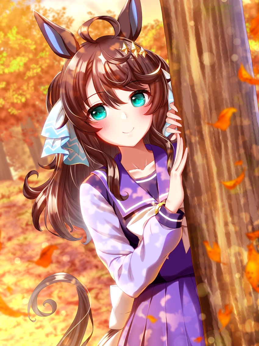 ahoge animal_ears autumn_leaves black_hair blurry blurry_background blush collarbone commentary_request daring_tact_(umamusume) hair_ornament highres horse_ears horse_tail leaf looking_at_viewer medium_hair school_uniform smile sugimotty_nova tail tracen_school_uniform tree umamusume