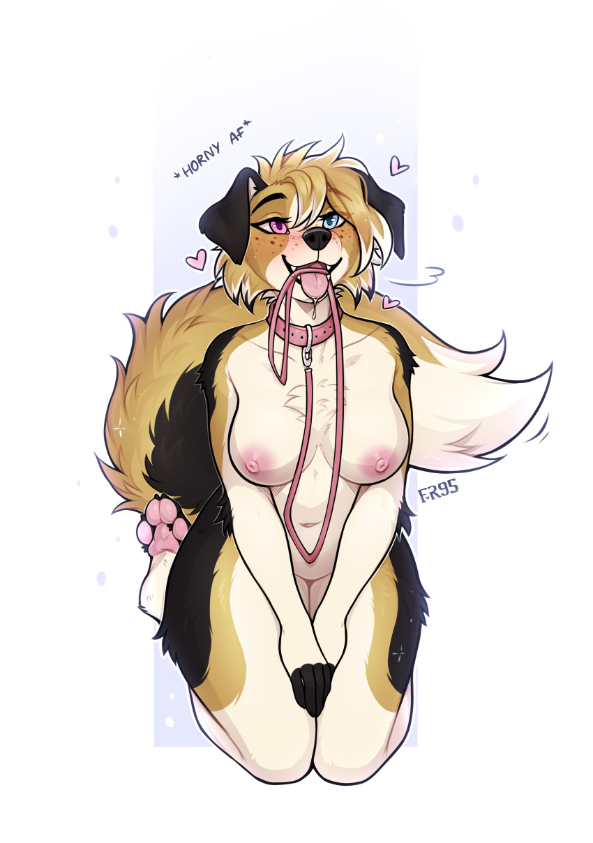 &lt;3 absurd_res anthro black_body black_fur blue_eyes blush bodily_fluids canid canine canis chest_tuft collar domestic_dog drooling f-r95 fangs female floppy_ears fur hair happy heterochromia hi_res hindpaw kneeling leash leash_in_mouth looking_up mammal navel nude object_in_mouth open_mouth pawpads paws pink_eyes saliva simple_background smile solo tan_body tan_fur tan_hair text tongue tongue_out tuft white_body white_fur
