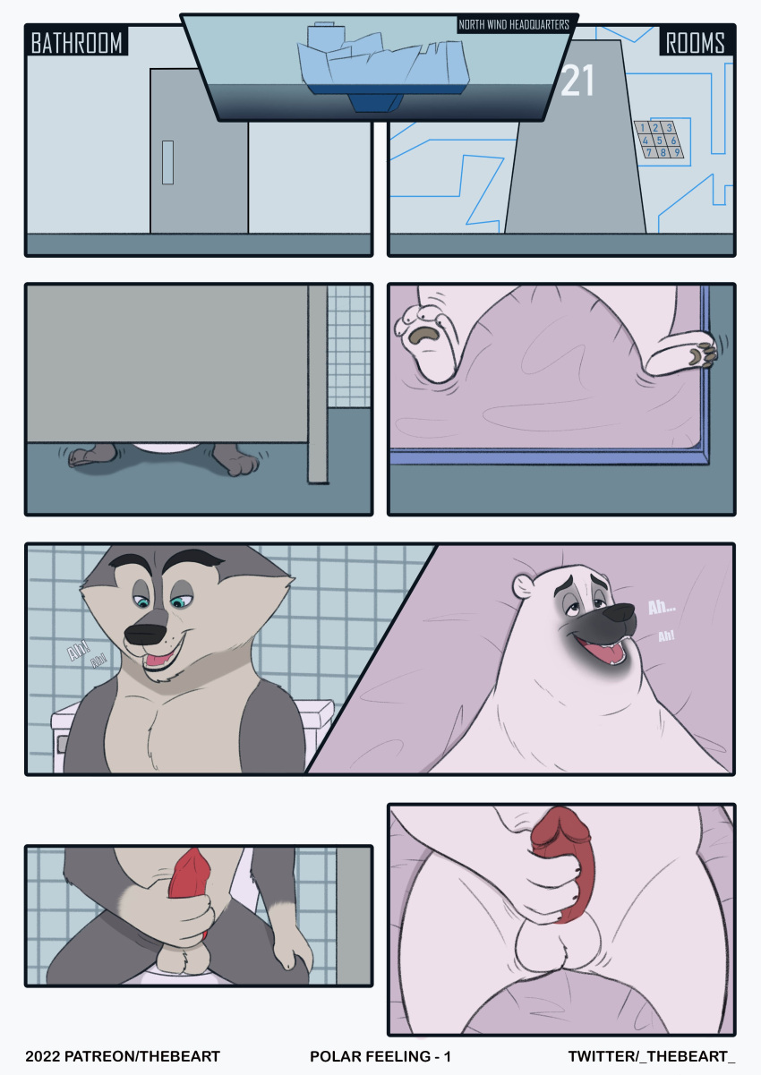 2022 absurd_res agent_classified anthro balls bathroom bed black_nose canid canine canis comic corporal_the_polar_bear detailed_background dreamworks erection furniture genitals grey_body hi_res lying madagascar_(series) mammal masturbation penis polar_bear sitting solo the_penguins_of_madagascar thebeart ursid ursine white_body wolf