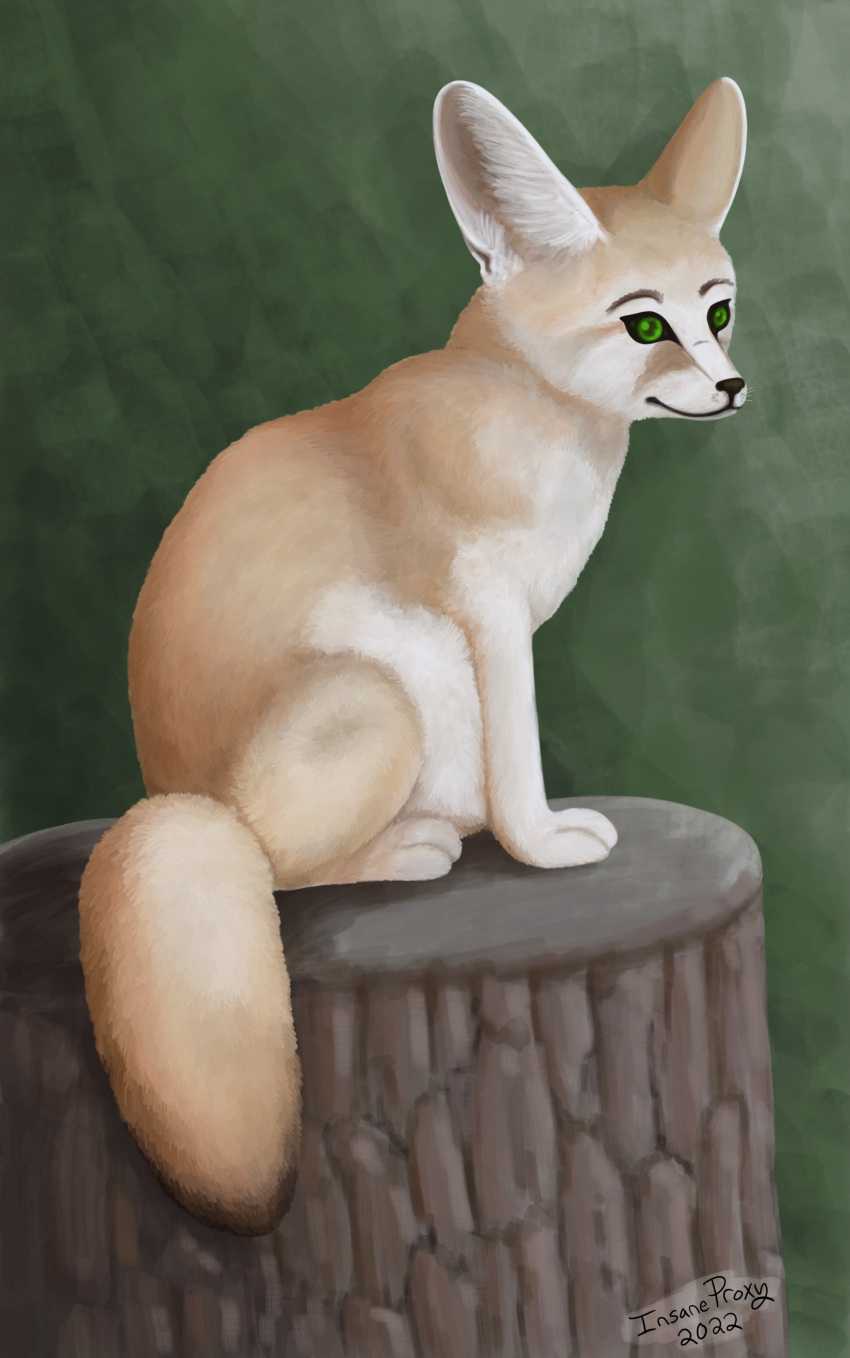 absurd_res ambiguous_gender canid canine fennec feral fox fur green_eyes hi_res insaneproxy_(artist) mammal simple_background solo tan_body tan_fur