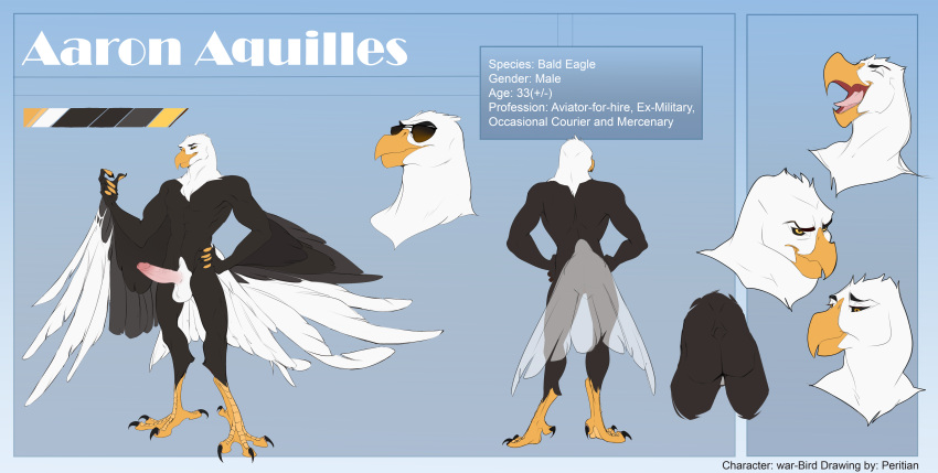 aaron_(war-bird) absurd_res accipitrid accipitriform anthro avian bald_eagle balls big_balls big_butt big_penis bird butt cocky eagle erection feathers genitals hi_res huge_balls huge_penis humanoid_genitalia male manly model_sheet muscular muscular_male penis peritian sea_eagle sexy_eyes smile solo tail_feathers talon_hands talons war-bird wings