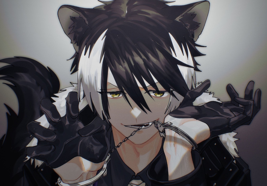 1boy animal_ears biting black_gloves black_hair black_jacket black_shirt bound bound_wrists cuffs fang fur-trimmed_jacket fur_trim gloves grey_background hair_between_eyes half_gloves handcuffs hands_up highres holostars jackal_boy jackal_ears jackal_tail jacket kageyama_shien long_sleeves male_focus momiage_40 multicolored_hair necktie portrait shirt short_hair smirk solo tail two-tone_hair v-shaped_eyebrows virtual_youtuber white_hair white_necktie yellow_eyes