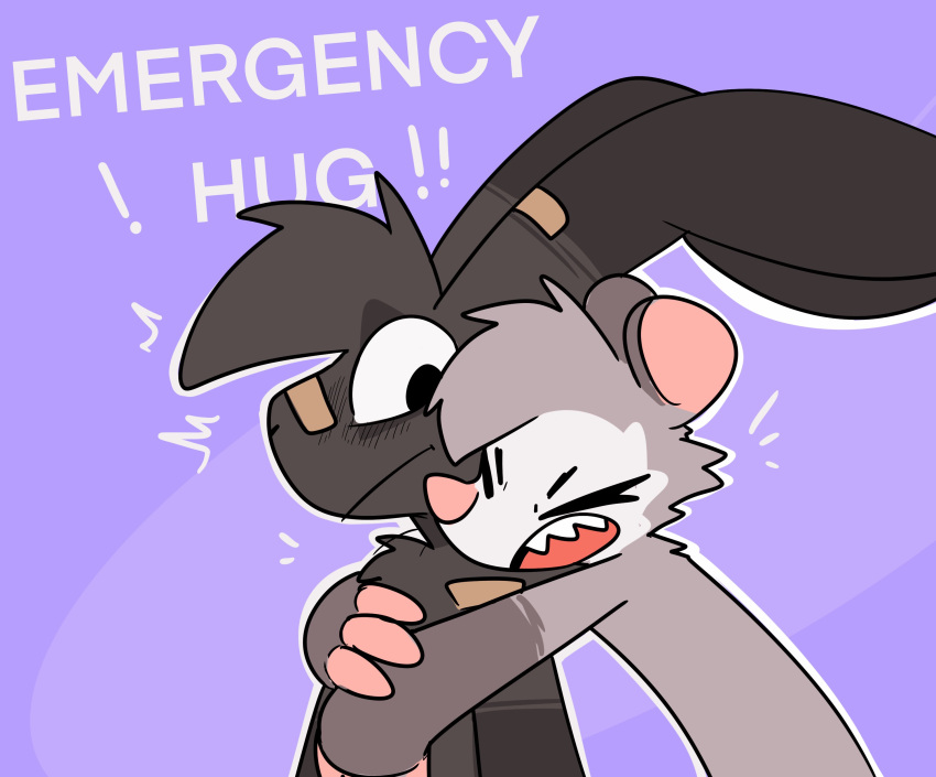 absurd_res anthro band-aid band-aid_on_nose bandage black_body black_fur cheek_tuft chest_tuft dialogue didelphid duo embrace english_text eyes_closed facial_tuft fur grey_body grey_fur hi_res hug hugging_from_behind lagomorph leporid male male/male mammal marsupial nick_(the_xing1) open_mouth pink_body pink_skin purple_background rabbit roy_(the_xing1) sharp_teeth simple_background teeth text the_xing1 tuft wide_eyed