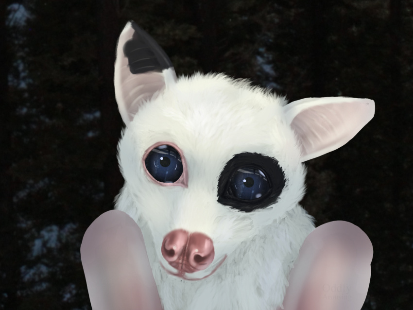 anthro black_spots blue_eyes bust_portrait chiropteran digital_media_(artwork) female fur leucistic looking_at_viewer mammal membrane_(anatomy) membranous_wings napkin_(akaifox) oddly_arousing photo_background pink_nose portrait pteropodid semi-anthro shaded solo spots watermark white_body white_fur wings