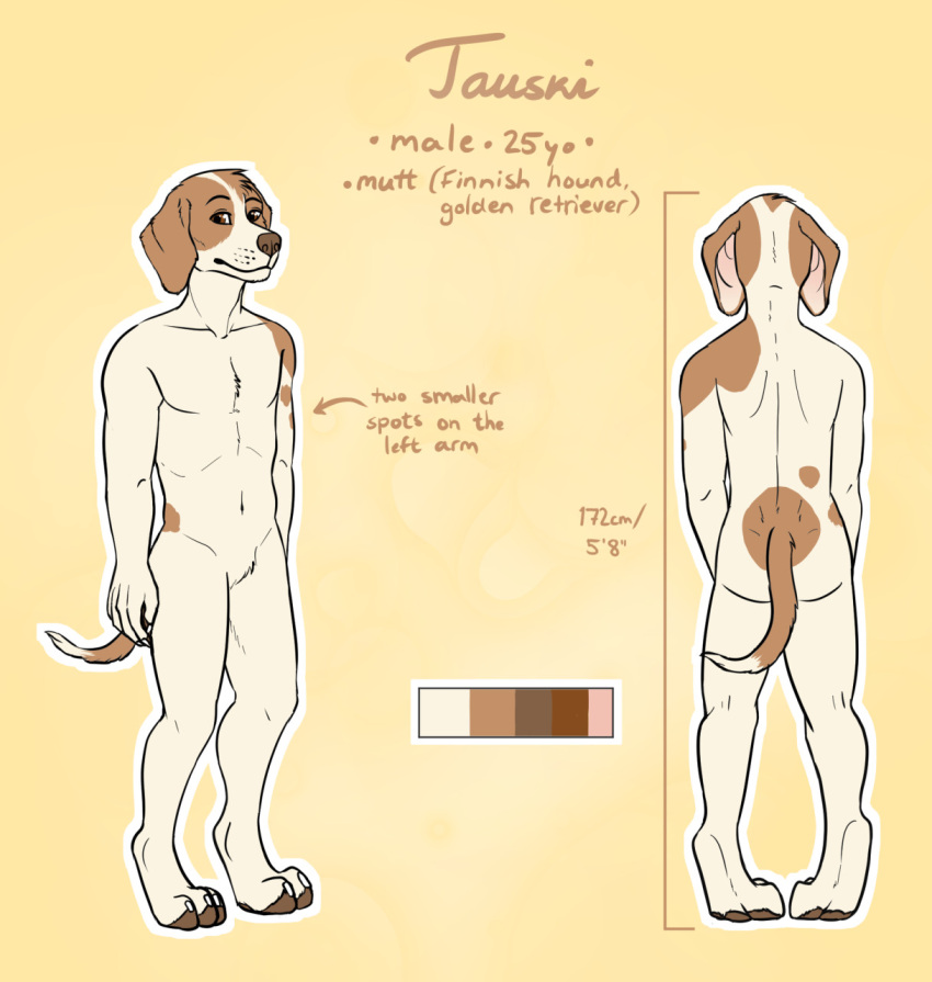 anthro brown_eyes butt canid canine canis claws color_swatch digitigrade domestic_dog english_text featureless_crotch fur gaikotsu hi_res male mammal model_sheet nude outline pawpads solo standing tan_body tan_fur tauski text toe_claws white_outline