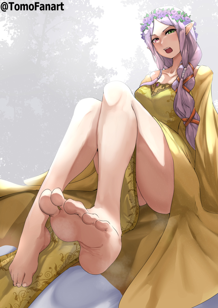 absurd_res breasts clothed clothing dress elf feet foot_focus hair heterochromia hi_res humanoid not_furry purple_hair tomodachi