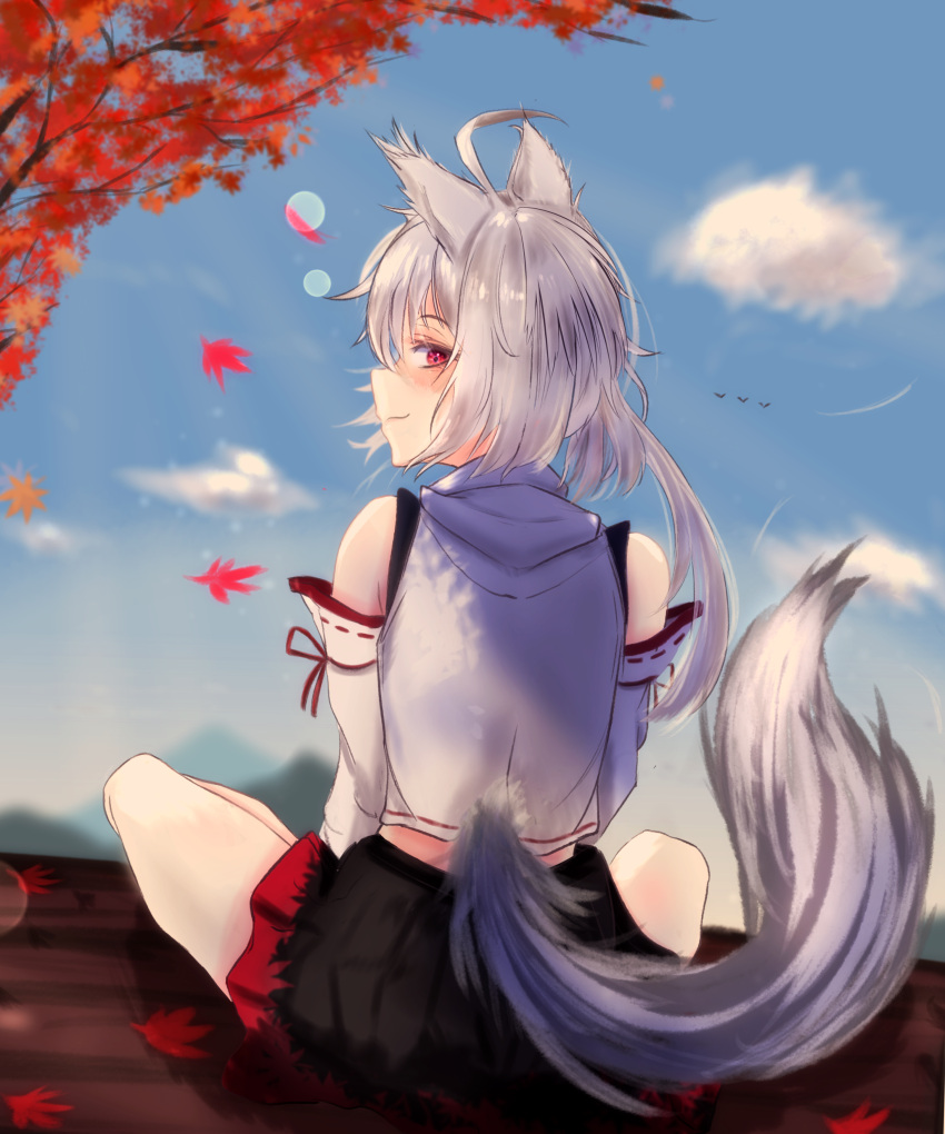 1girl absurdres autumn_leaves black_skirt cloud cloudy_sky falling_leaves highres inubashiri_momiji kh4c kitsune leaf looking_at_viewer looking_back red_eyes shirt short_sleeves skirt sky smile solo tail touhou tree white_hair white_shirt