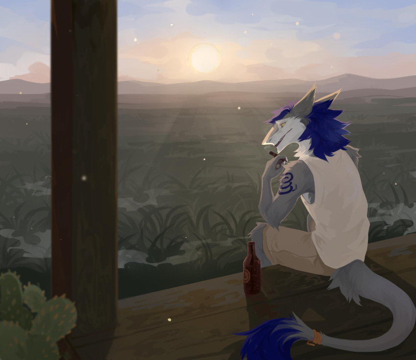 absurd_res anthro blue_hair blue_markings blurred_foreground bottle bottomwear cactus clothed clothing corzh77 fur grass grey_body grey_fur hair hi_res male markings mountain outside pants plant sergal short_hair sitting solo sunset tail_tuft tan_bottomwear tan_clothing tan_pants three-quarter_view topwear tuft unsigned white_body white_clothing white_fur white_topwear yellow_eyes