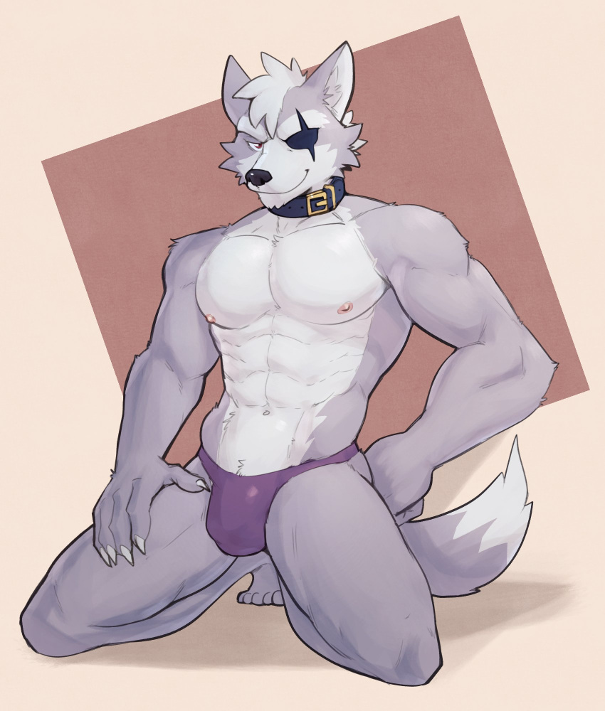 2022 5_toes abs anthro black_nose bulge canid canine canis clothed clothing collar feet fur grey_body grey_fur hi_res jrjresq kneeling looking_at_viewer male mammal muscular muscular_anthro muscular_male nintendo simple_background smile solo star_fox toes underwear underwear_only video_games wolf wolf_o'donnell