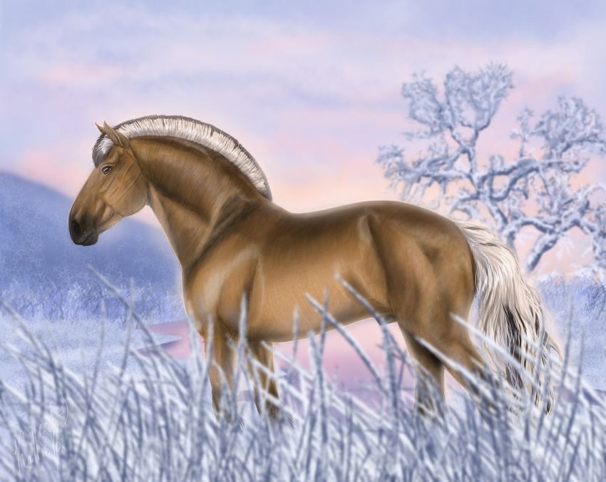 amber_eyes anatomically_correct animal_genitalia arvakr barely_visible_genitalia draft_horse equid equine feral fjord_horse genitals horse ice ladykallisto male mammal sheath snow solo winter