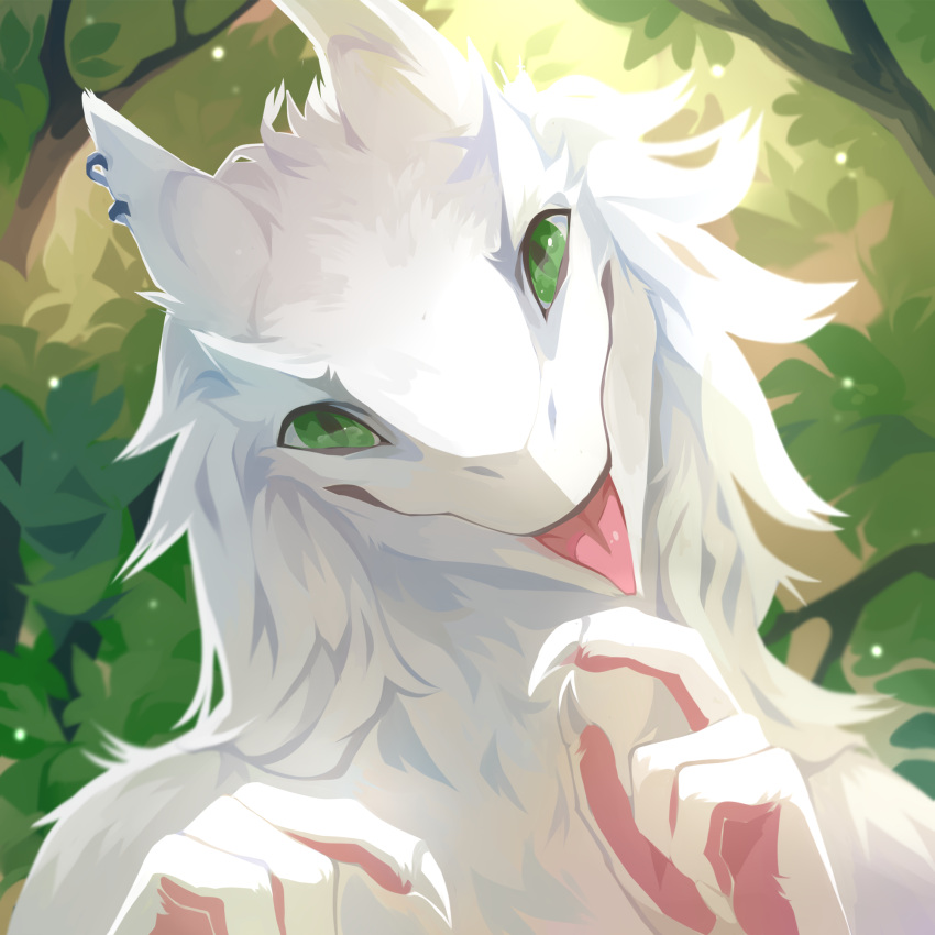 1:1 ambiguous_gender anthro bust_portrait claws corzh77 ear_piercing ear_ring front_view fur glistening glistening_eyes green_eyes hair hi_res looking_at_viewer nude outside piercing pink_tongue plant portrait ring_piercing sergal shrub solo tongue tongue_out unsigned white_body white_claws white_ears white_fur white_hair
