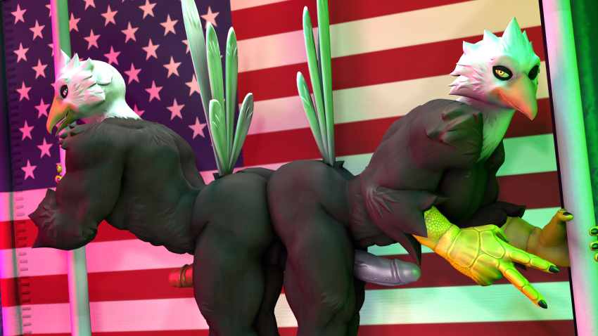 16:9 3d_(artwork) accipitrid accipitriform anthro ass_to_ass avian bald_eagle balls beak big_butt bird blue_eyes bubble_butt butt butt_rubbing digital_media_(artwork) duo eagle erection feathers genitals gesture hi_res humanoid_hands kyleroo looking_at_viewer male muscular muscular_anthro muscular_male nude one_eye_closed open_mouth penis petruz_(copyright) pole sea_eagle smile source_filmmaker stars_and_stripes stripper stripper_pole thick_thighs united_states_of_america v_sign widescreen wink yellow_eyes