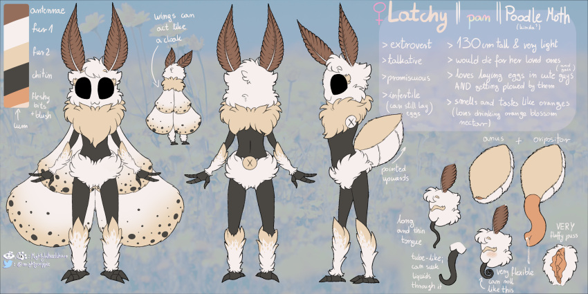 3_fingers 3_toes absurd_res antennae_(anatomy) anthro arthropod arthropod_abdomen bodily_fluids cat_smile cheek_tuft facial_tuft feet female fingers fluffy fluffy_wings front_view genital_fluids genitals hi_res insect latchy_(oc) leaking_precum lepidopteran long_tongue mightywheelchair model_sheet moth neck_tuft ovipositor precum pubes pussy rear_view side_view solo toes tongue tuft wings