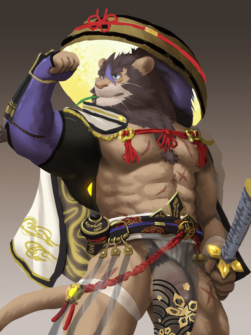 abs absurd_res anthro armor asian_clothing balls bottomwear brown_body brown_fur clothing clothing_aside east_asian_clothing felid flaccid fundoshi fundoshi_aside fur genitals hat headgear headwear hi_res japanese_clothing katana lifewonders lion live-a-hero loincloth male mammal melee_weapon muscular muscular_anthro muscular_male pantherine pecs penis redwolfalang samurai scar solo straw_hat sword toshu translucent translucent_clothing unconvincing_armor underwear underwear_aside video_games warrior weapon