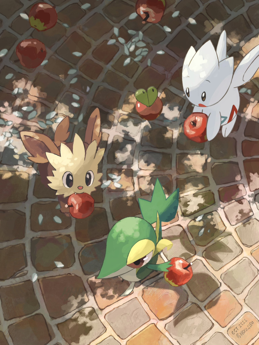 apple applin brown_eyes commentary dated day fang food from_above fruit highres holding holding_food holding_fruit lillipup mokuzou_(moku_ssbu) mouth_hold no_humans open_mouth outdoors petals pokemon pokemon_(creature) snivy symbol-only_commentary togetic twitter_username