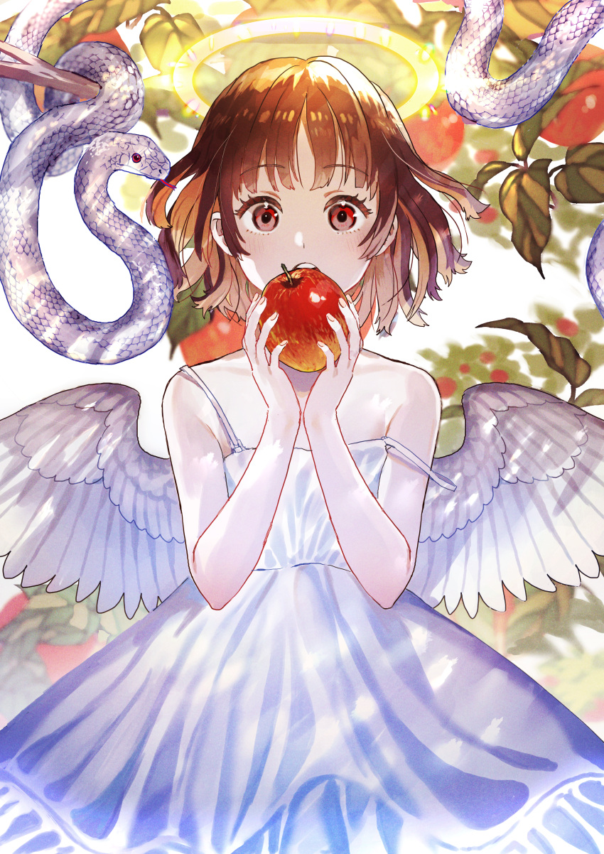 1girl absurdres angel animal bangs bare_arms bare_shoulders blurry bob_cut branch brown_hair cowboy_shot depth_of_field dress feathered_wings flat_chest food fruit glowing halo hands_up highres holding holding_food holding_fruit jun_(nad-j) looking_at_viewer open_mouth original red_eyes shirt short_hair sleeveless sleeveless_shirt snake straight-on strap_slip sundress w_arms white_background white_dress white_snake white_wings wings