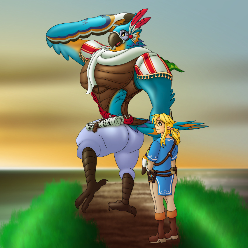 absurd_res ahegarou anthro avian big_butt big_pecs blonde_hair blush breath_of_the_wild butt duo eyelashes girly hair hi_res human humanoid hylian kass_(tloz) link long_hair male male/male mammal muscular nervous nintendo pecs rito size_difference the_legend_of_zelda thick_eyelashes video_games