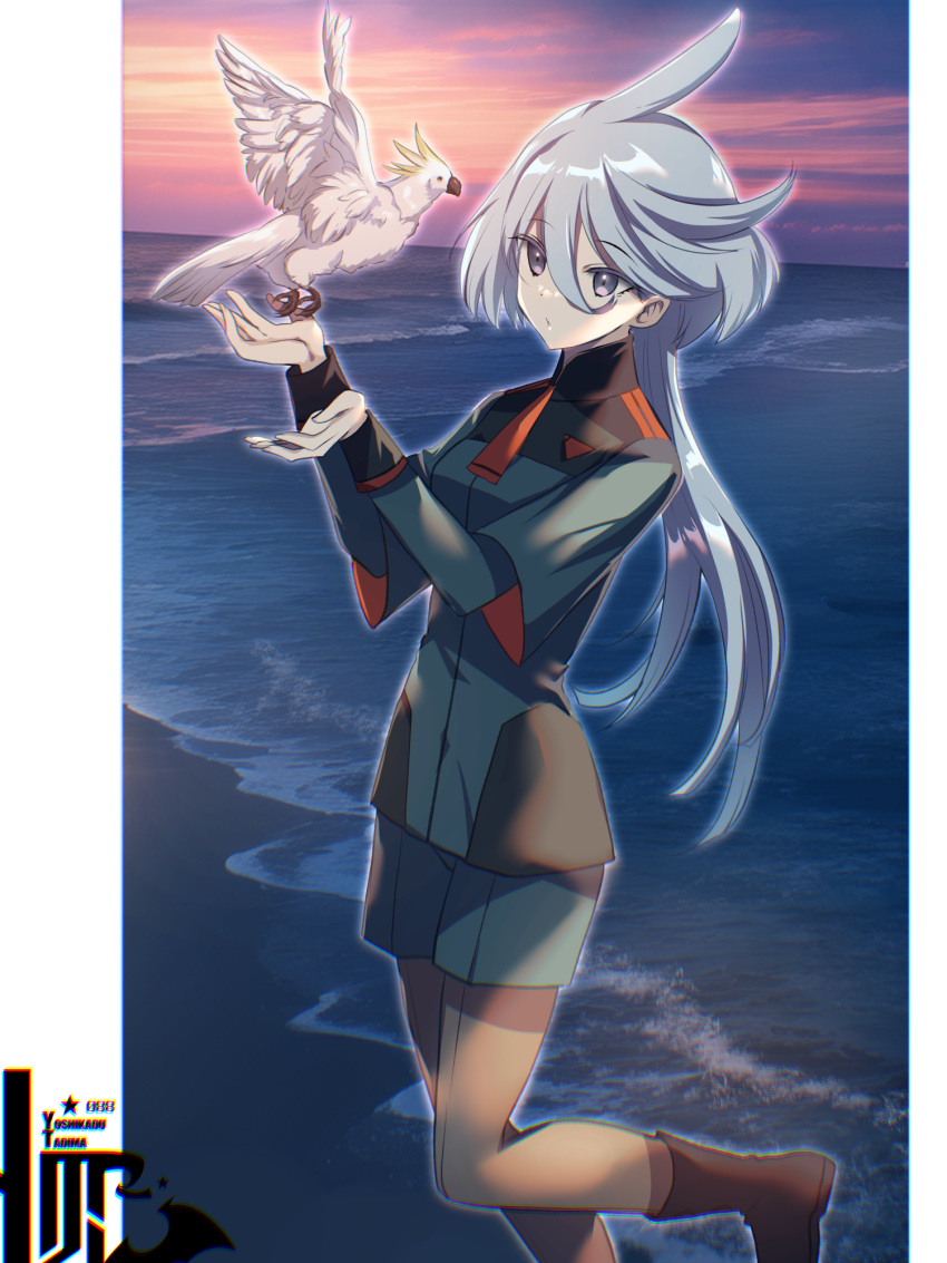 1girl bangs beach bird black_footwear blue_jacket blue_shorts closed_mouth front-seamed_legwear grey_eyes grey_hair grey_pantyhose gundam gundam_suisei_no_majo hair_between_eyes highres jacket layered_sleeves legwear_under_shorts long_hair long_sleeves miorine_rembran ocean pantyhose parrot seamed_legwear shiny shiny_hair short_over_long_sleeves short_shorts short_sleeves shorts solo standing standing_on_one_leg tajima_yoshikazu