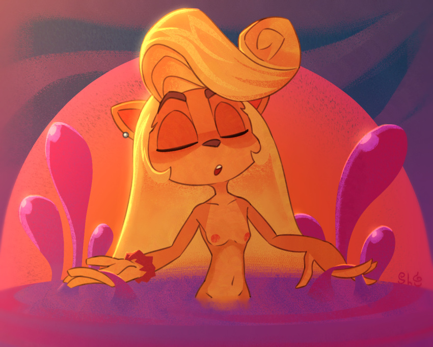 accessory activision anthro bandicoot bathing blonde_hair breasts coco_bandicoot crash_bandicoot_(series) ear_piercing eyes_closed female fur hair hair_accessory hair_tie long_hair mammal marsupial nipples nude open_mouth orange_body orange_fur partially_submerged piercing shugariosa solo video_games