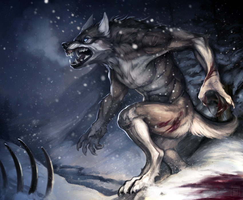 2021 absurd_res anthro blood blue_eyes bodily_fluids bone canid canine canis digital_media_(artwork) forest hi_res male mammal plant rakan ravenmadwolf scar solo tree were werecanid werecanine werewolf winter wolf